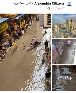 الصورالمنتشرة قديمة الصورالمنتشرة قديمة