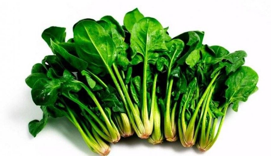 السبانخ.. خضروات صحية غنية بالفوائد تعرف عليها ) السبانخ.. خضروات صحية غنية بالفوائد تعرف عليها 2