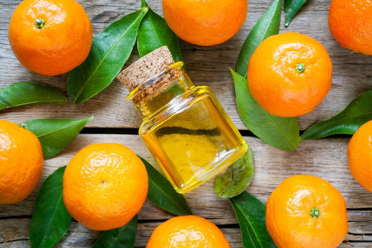 ماذا تعرف عن زيت البرتقال العطري.. 13 فائدة مذهلة