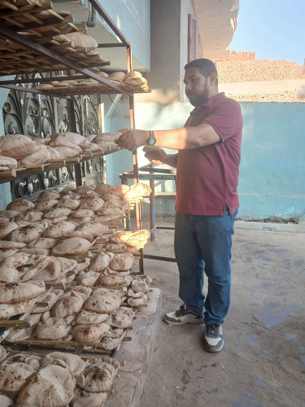 جانب من الحملات، فيتو