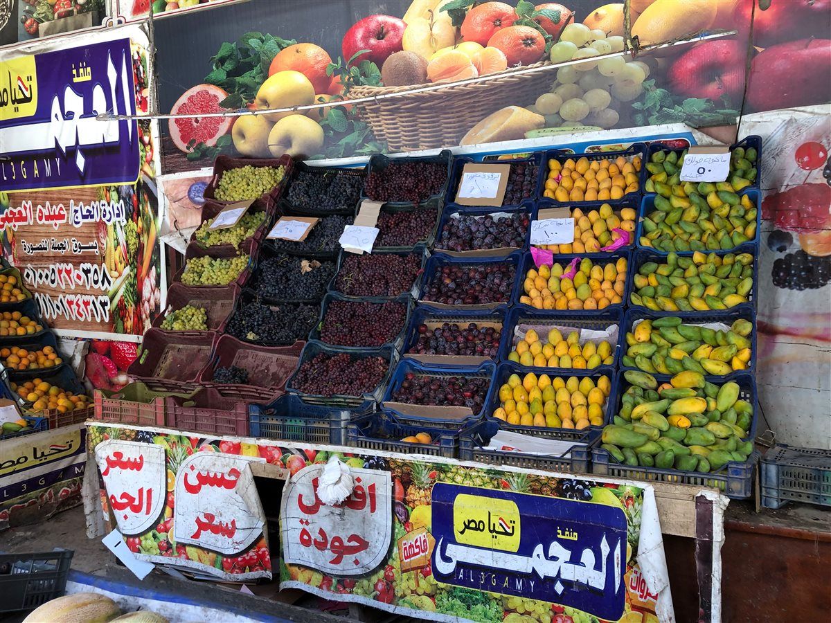 محافظ الدقهلية يتفقد منافذ بيع الخضروات بالمنصورة