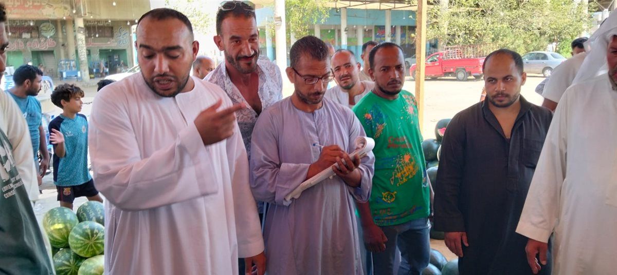 مزاد البطيخ بسوق المستقبل في الإسماعيلية، فيتو