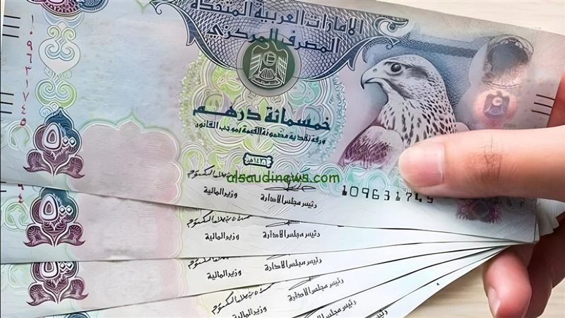 الدرهم الاماراتي، فيتو 