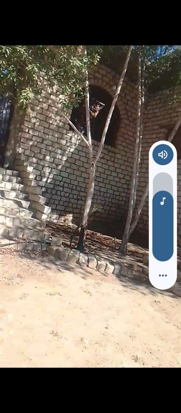 منزل مهجور يستخدم كمثحة لعلاج الإدمان بالمنيا