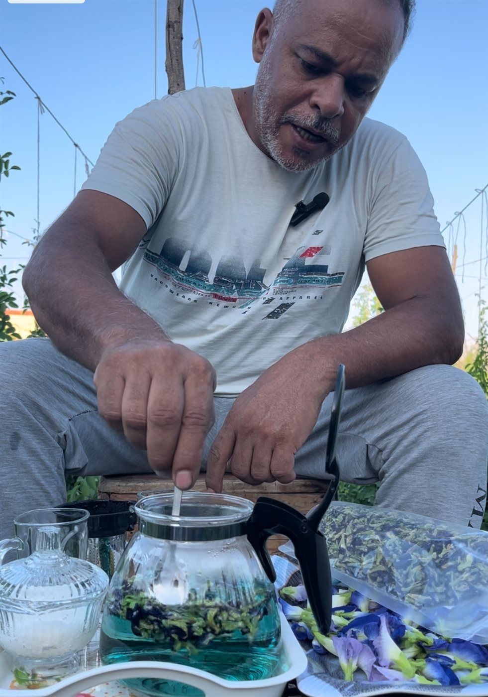 زراعة الشاي الأزرق بمصر، فيتو
