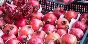 أسعار
      الفاكهة
      اليوم،
      الرمان
      يسجل
      11
      جنيهًا
      في
      سوق
      العبور