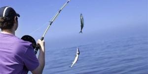 تفسير
      حلم
      صيد
      السمك
      في
      المنام
      وعلاقته
      بمواجهة
      بعض
      المشكلات