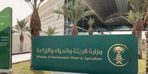 "البيئة"
      تطرح
      فرصة
      استثمارية
      لإنتاج
      شتلات
      أمهات
      الفواكه
      بمحافظة
      القريات