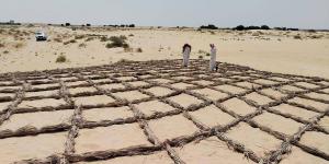 «الفاو» تجدد التزامها بدعم استعادة الأراضي وتعزيز الاستدامة البيئية في اليوم العالمي لمكافحة التصحر والجفاف