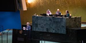 وزير الخارجية يشارك في ترؤس جلسة اليوم الثاني لمؤتمر حل الدولتين