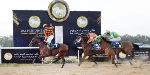 19 جولة بالنسخة 33 من كأس رئيس الدولة للخيول العربية