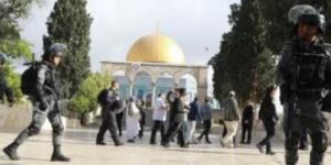 بيان مشترك عربى إسلامى أفريقى يدين اقتحام الأقصى ويحذر من التصعيد فى القدس