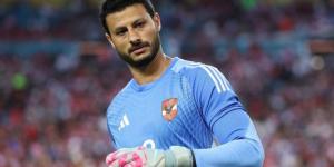 تغريم الأهلي وسيراميكا..وإيقاف محمد الشناوي 4 مباريات