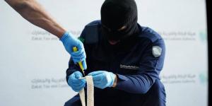 جمرك الحديثة يُحبط محاولة تهريب أكثر من 154 ألف حبة من مادة الإمفيتامين (الكبتاجون)