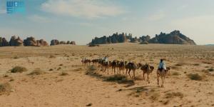 طريق الحج الشامي قديما.. 
رحلة إيمانية بين مسارات ومحطات متنوعة