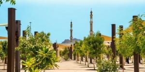 زراعة +60 ألف شجرة لدعم الاستدامة البيئية في المشاعر المقدسة