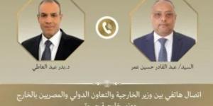 وزير الخارجية ونظيره الجيبوتي يبحثان تطورات الأوضاع في منطقة القرن الأفريقي