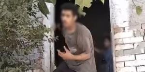 الأمن يكشف حقيقة فيديو "استدراج الطفلتين" في بسيون بالغربية ويضبط المتهم