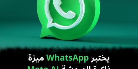 يختبر
WhatsApp
ميزة
ذاكرة
الدردشة
Meta
AI