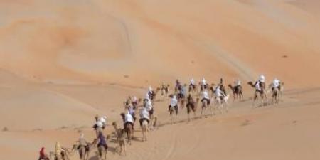 رحلة الهجن تقترب من المحطة الختامية في دبي