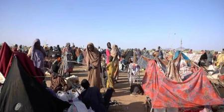 عن كثب- شهود: الدعم السريع السودانية تحتجز ناجين من حصار الفاشر للحصول على فدى