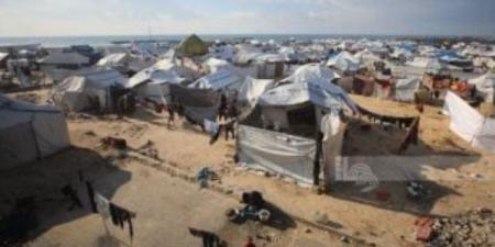 وزيرة خارجية أيرلندا: تقديم 42 مليون يورو مساعدات مالية لدعم غزة