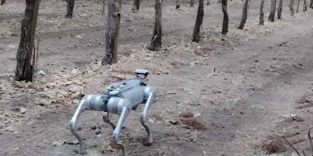 "الروبوت الكلب" يقلب موازين الزراعة.. يقلل الهدر بـ 95 بالمئة و"يفوق البشر" في الدقة