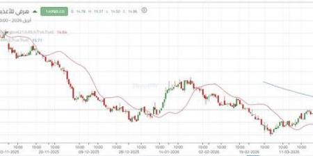 تداولات نشطة تدفع سهم "هرفي" لمحاولة كسر الاتجاه الهابط