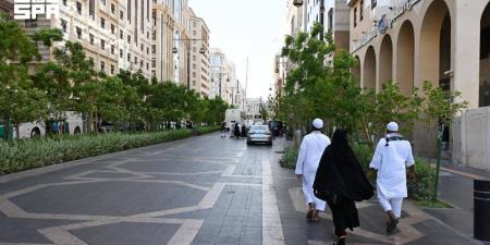 غرفة المدينة: قطاع الضيافة يوفر فرصا استثمارية في ظل تنامي أعداد الزائرين