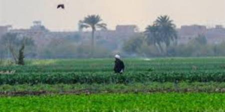 سحب تلطف الأجواء ونشاط للرياح، حالة الطقس غدا الثلاثاء