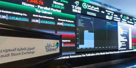 7 أسهم بالسوق السعودي تسجل أدنى مستوياتها التاريخية.. و"ناف" يهبط 87%