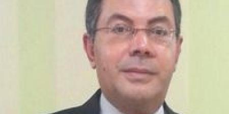 انتبهوا.. الفراخ ترجع إلى الخلف