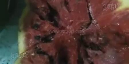 تاجر بطيخ يثير الجدل في المنوفية، ادعى أن "البطيخ مسموم" وتحدّى التجار ويطالب بالتحقيق (فيديو)