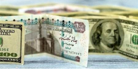رسميا، سعر صرف الدولار أمام الجنيه في البنوك (تحديث لحظي)