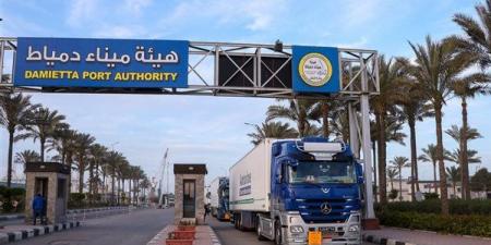 السفينة اليونانية MARAN GAS AMORGOS ترسو في دمياط لتفريغ 71 ألف طن غاز مسال