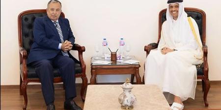 أمين عام الجامعة العربية يبحث مع رئيس الوزراء القطري تطورات الأوضاع في المنطقة
