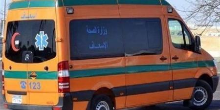 ميكروباص طائش يدهس طفل بقرية فديمين بالفيوم