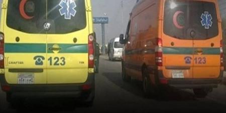 بالأسماء، مصرع شاب وإصابة 8 آخرين في حادث تصادم بالطريق الدولي بالبحيرة