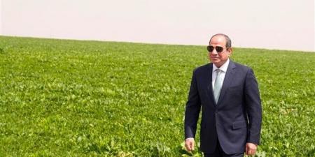توفير السلع وضبط الأسواق واستقرار الأسعار.. توجيهات رئاسية متواصلة للحكومة بتأمين احتياجات المواطنين ومواجهة الأزمات.. والتوسع في المشروعات الزراعية والصوامع والتصنيع والتوزيع