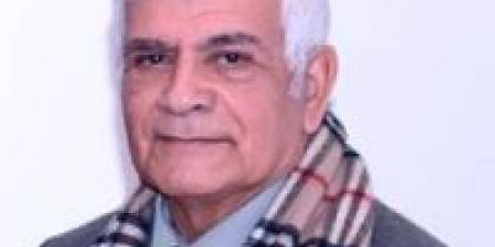 مستقبل مصر (5)