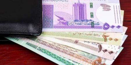 سعر الجنيه السوداني مقابل الدولار في بنك السودان المركزي