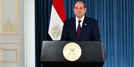 السيسي: ننظر بإيجابية إلى التجربة التنموية الصينية وقدرتها على تحقيق التقدم الاقتصادي