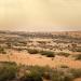 تزايد نمو الغطاء النباتي في محمية الإمام تركي بن عبدالله  يعزز جودة الهواء ويحد من العواصف الغبارية