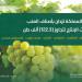 أسواق المملكة تزدان بأجود أصناف العنب