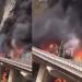 مأساة في المدينة المنورة:وفاة عشرات المعتمرين الهنود في حادث اصطدام حافلة بصهريج نفط