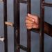6 يوليو، محاكمة عاطل بتهمة مقاومة السلطات في السيدة زينب