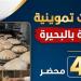 تحرير 34 مخالفة في حملات على المخابز بالبحيرة