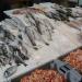 أسعار السمك اليوم، المكرونة يقفز إلى 230 جنيها والسبيط بـ 450 والبلطي يحتفظ على استقراره