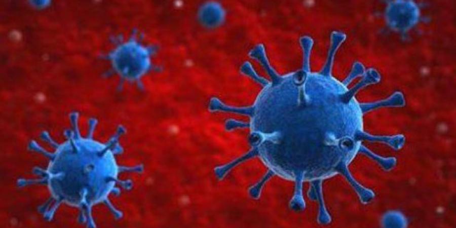 كل ما تريد معرفته عن متغير كورونا الجديد "JN.1"