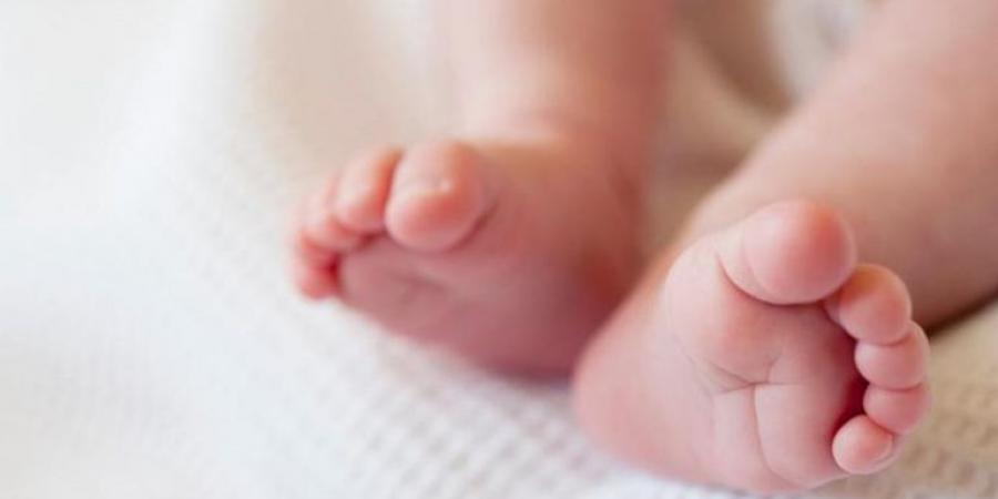 اتهام
      قطة
      بافتراس
      رضيعة
      في
      الدقهلية..
      والتحقيقات
      تكشف
      مفاجأة
      صادمة